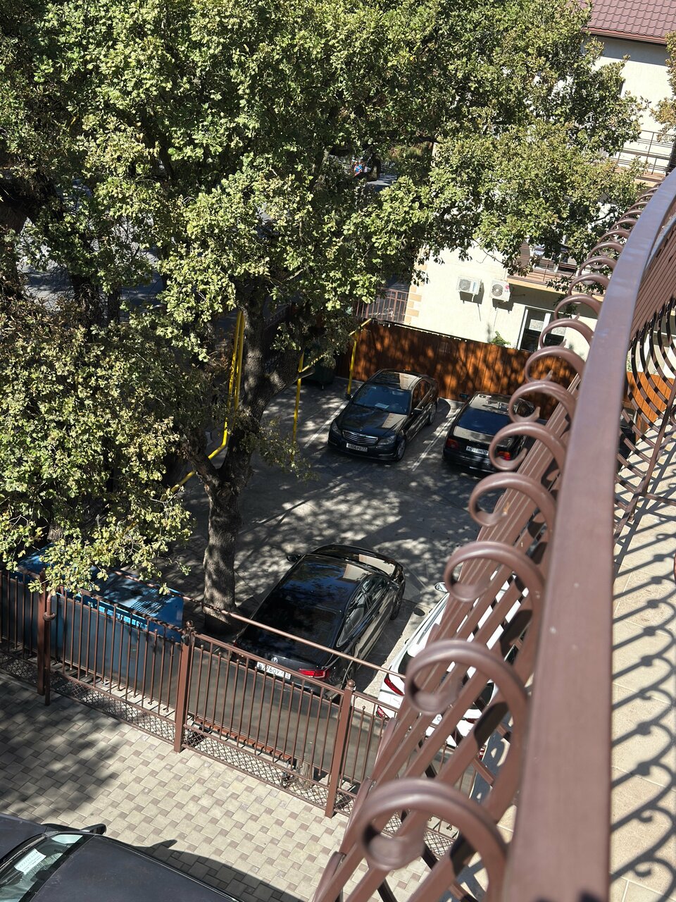 Гостиница Версаль Геленджик-194