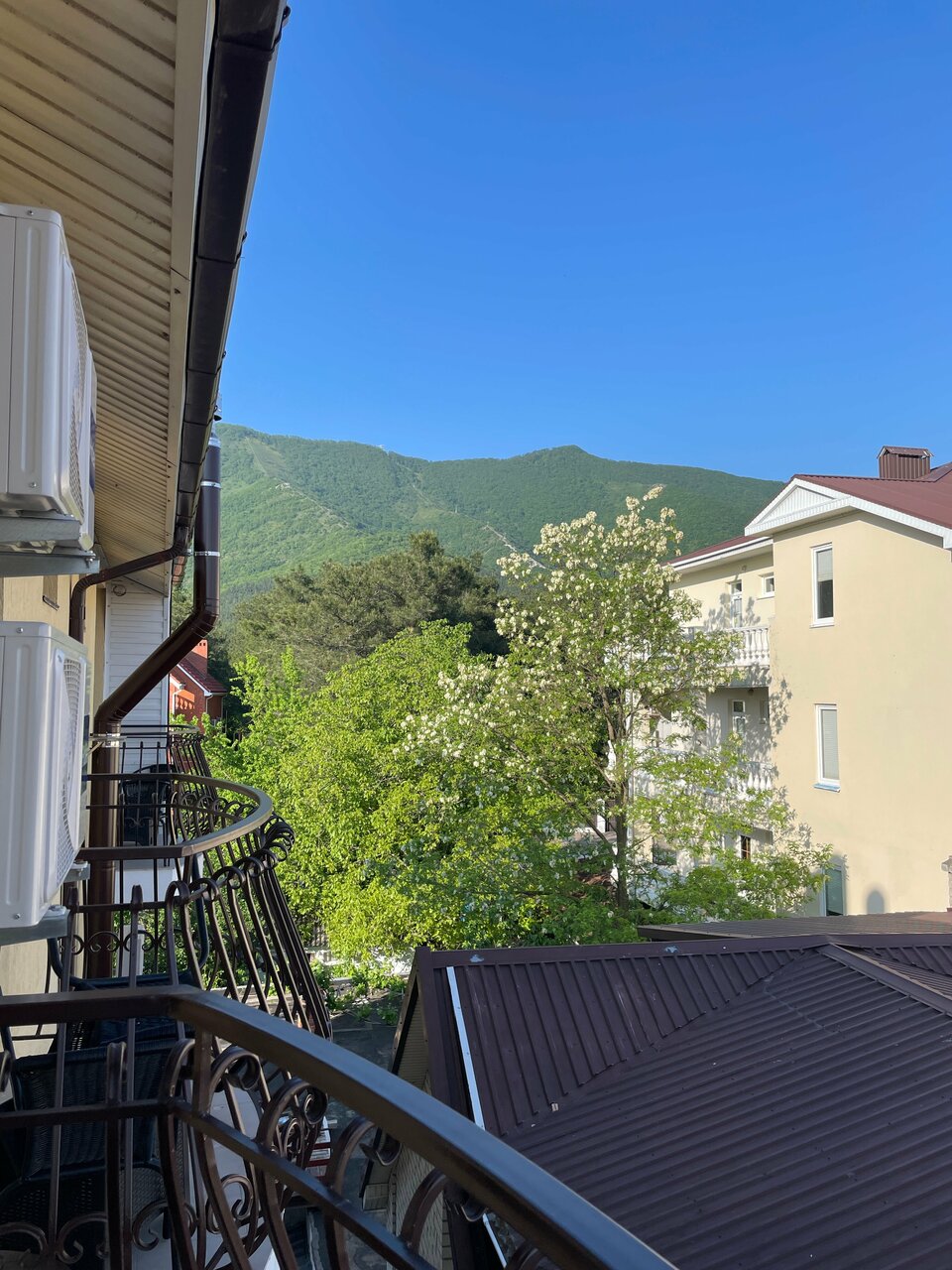 Гостиница Версаль Геленджик-65